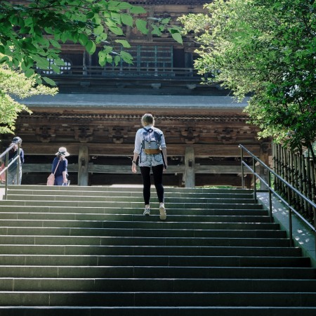 Kamakura Hydrangea Japanese temple shrine